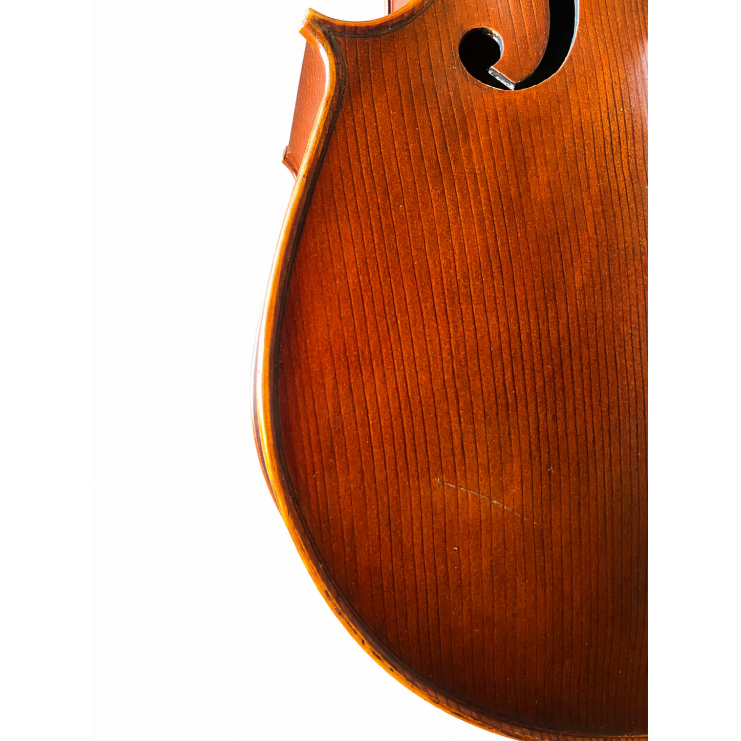 Corina Duetto cello 3/4 (B-stock 193)