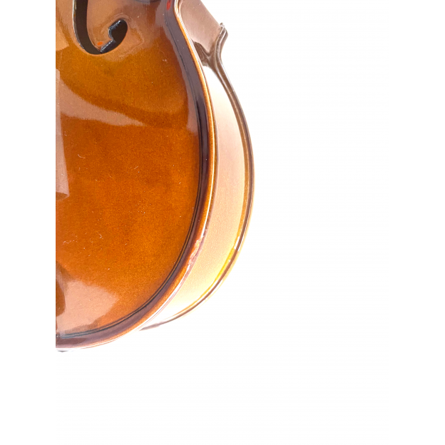 Violín Stentor Student I 1/2 set (B-stock nº333)