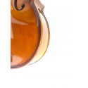 Violí Stentor Student I 1/2 set (B-stock nº333)