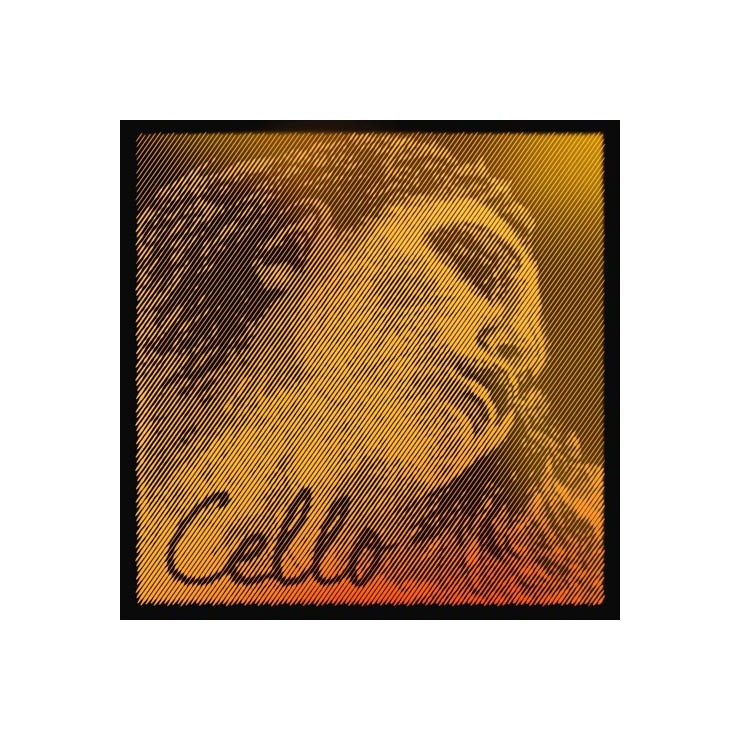 Cuerda de cello Pirastro Evah Pirazzi Gold 2ª Re Medium