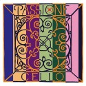 Cuerda cello Pirastro Passione (STEEL) 334230 2ª Re acero/cromo Heavy