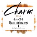 For-Tune Charm Soloist bass string set Medium