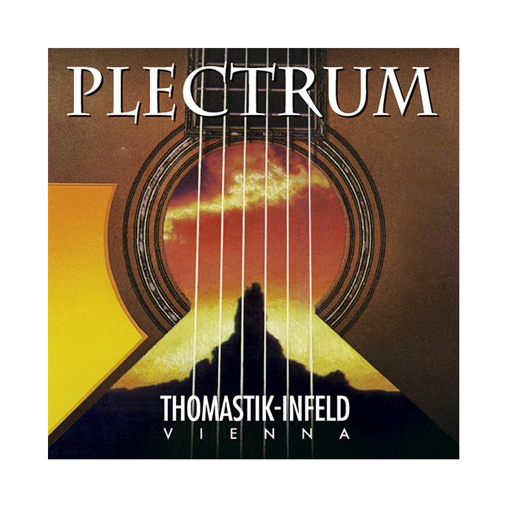 Thomastik Plectrum acoustic guitar G string AC016