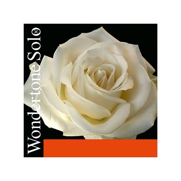 Corde de violon Pirastro Wondertone Solo 1re Mi Boule 26 acier sup&eacute;rieur Medium