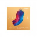Jeu de cordes pour violon D'Addario Ascenté boule Medium