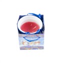 Bougie ours polaires