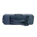 Swenk oblong Picasso violin case