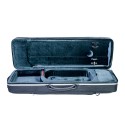 Swenk oblong Picasso violin case