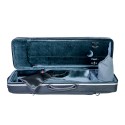 Swenk oblong Picasso violin case