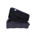 Bam New Trekking trumpet case TREK3023S