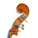 Stentor Conservatoire double bass Set