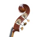 Stentor Student double bass Set
