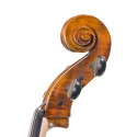 Gliga genial I Antiqued cello