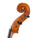 Gliga Gems I Antiqued cello