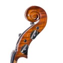 Stentor Conservatoire cello with bow and case