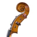 Stentor Student I cello Set
