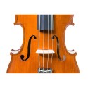 Alto Gliga Gems I