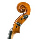 Alto Gliga Gems II