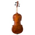 Corina Duetto violin