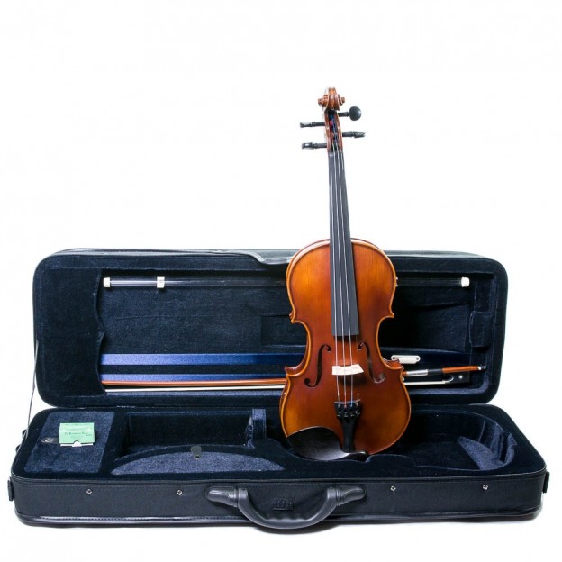 Corina Sestetto violin