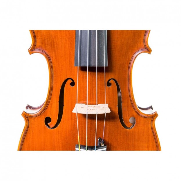 Violín Gliga Cristian 4/4