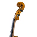 5-string Gliga Gems II violin