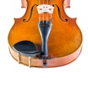 Barbada para viola Dresden lateral plástico