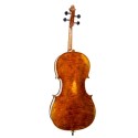 Cello F. Müller Master Antiqued