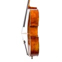 Cello F. Müller Master Antiqued