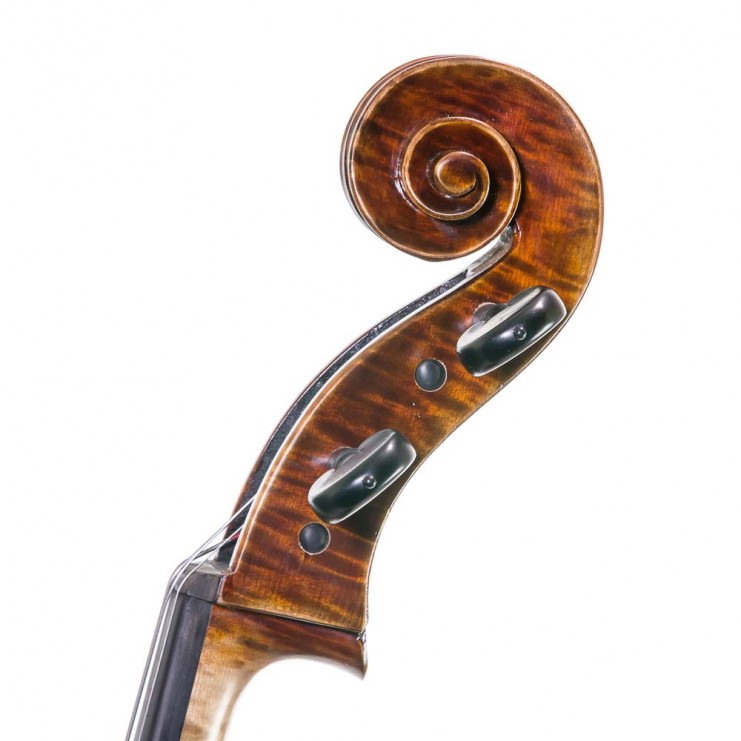 Cello F. Müller Master Antiqued