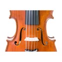 5 String Gliga Gems I violin  4/4