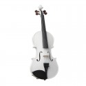 Stentor Harlequin violin  4/4