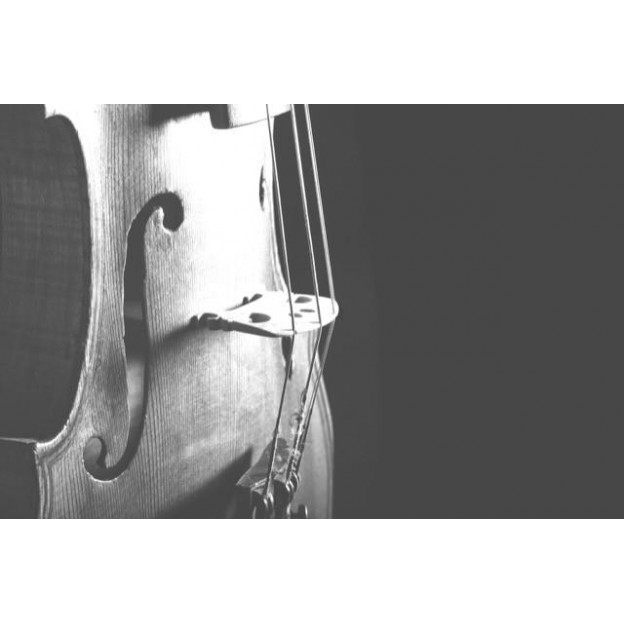 Carte de v&oelig;ux violon
