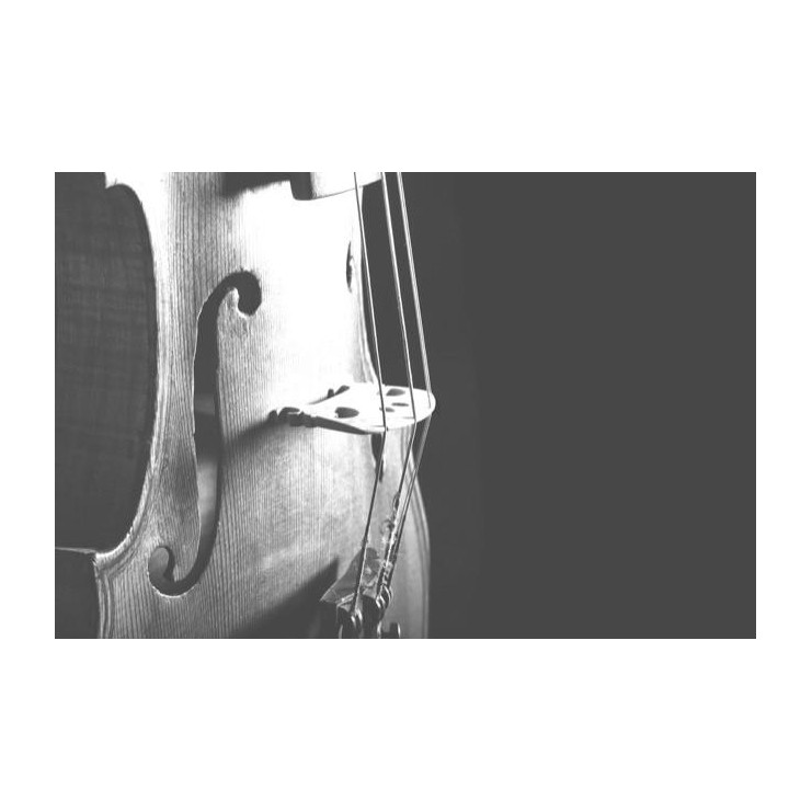 GC27 Black and white greeting card violin