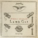 Aquila semi-rectified gut baroque string 124HU