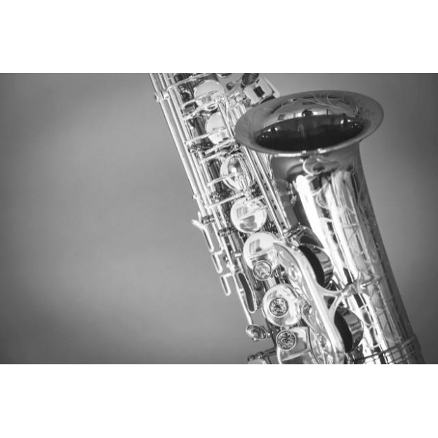 GC25 Black and white greeting card saxophone