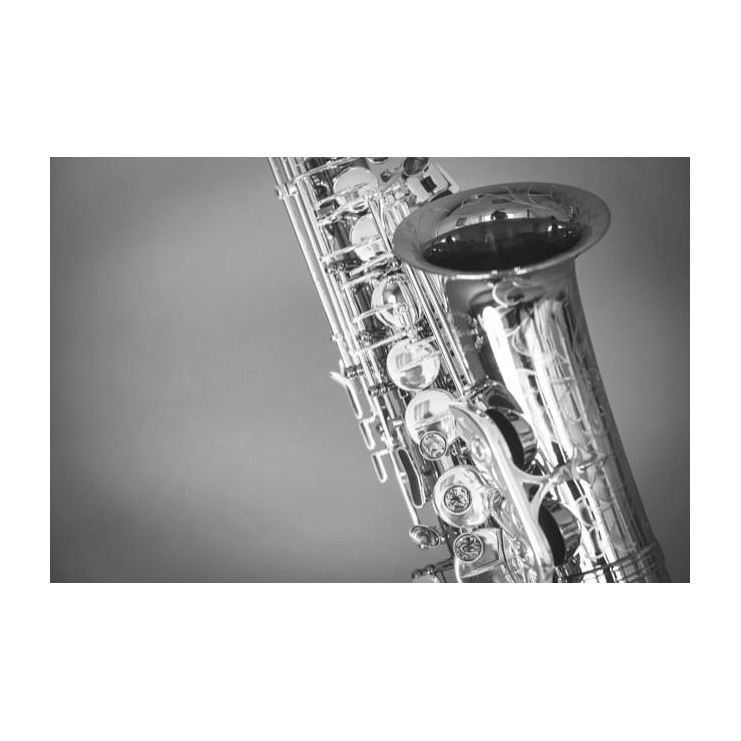 GC25 Black and white greeting card saxophone