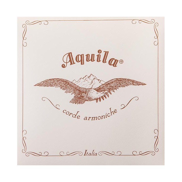Rope Aquila Gut 240C