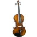 Violon