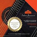 Guitare