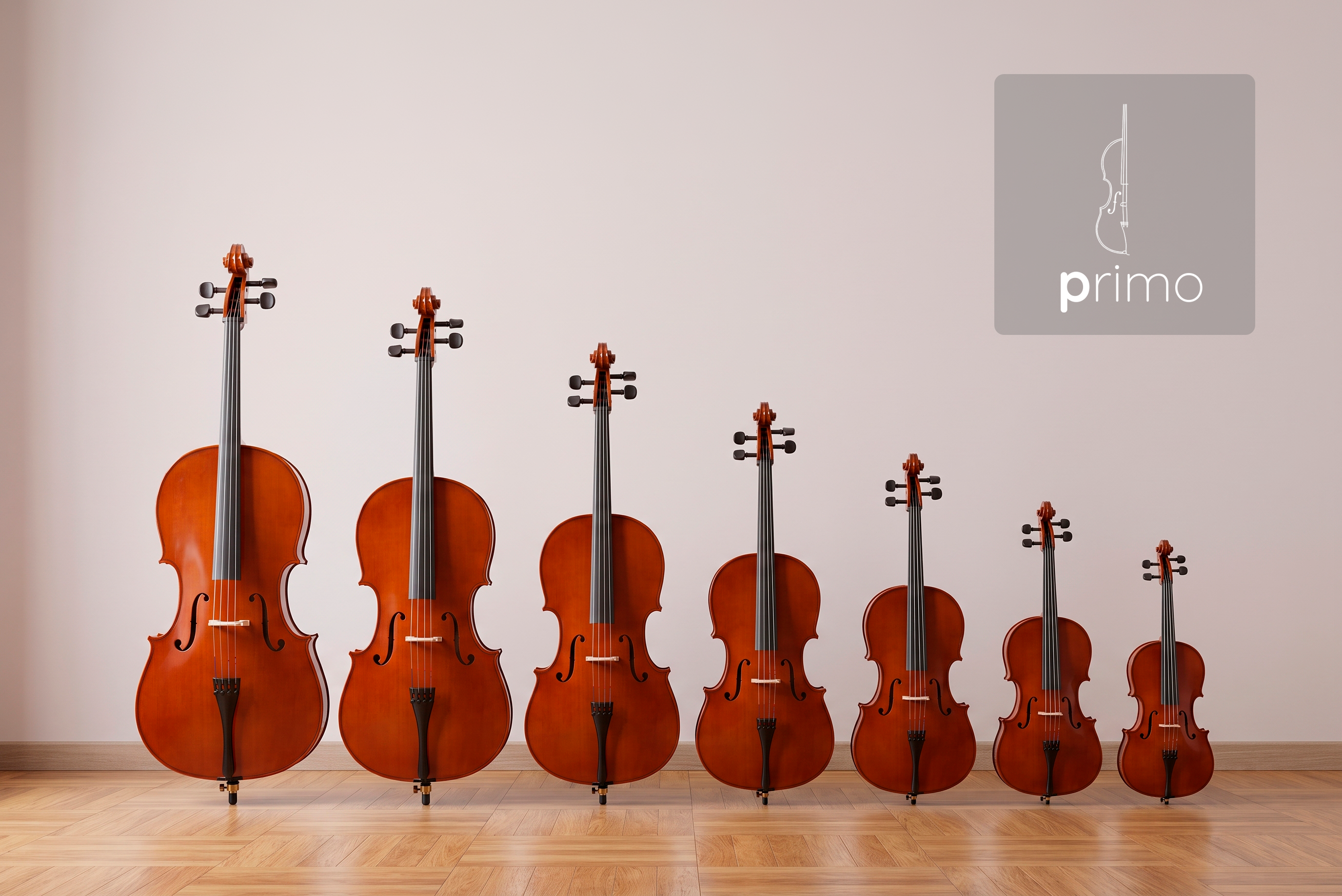 Cello Primo disponible en siete medidas